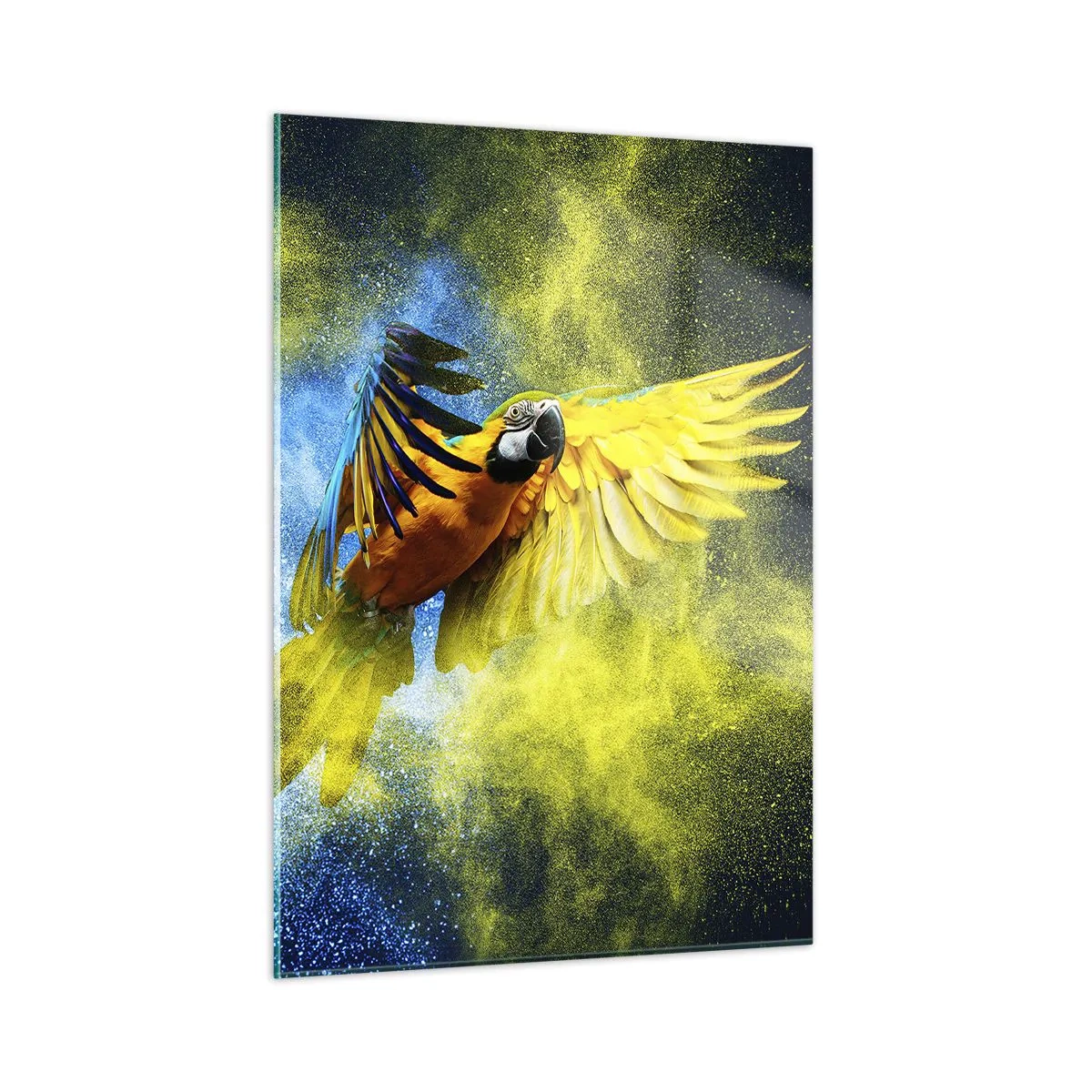 Obraz na skle - V modro-zlatom prachu - 50x70 cm