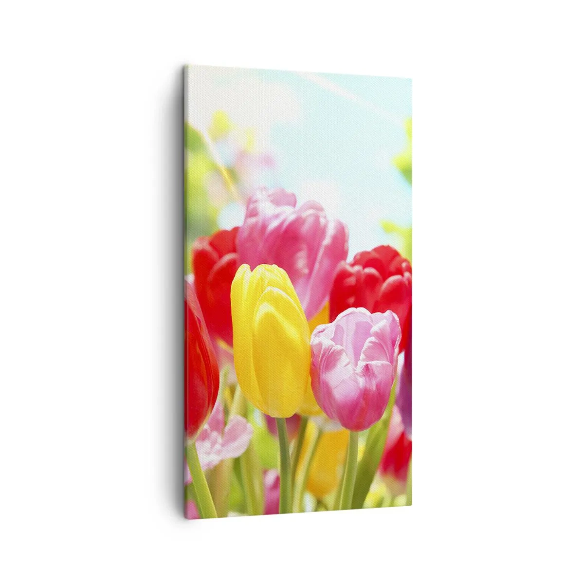 Obraz na plátne - To sme my, farby mája! - 45x80 cm