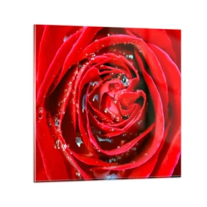 Obraz na skle - V kvapkách rosy - 30x30 cm