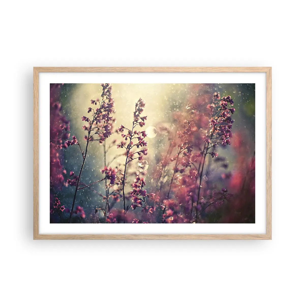 Plagát v ráme zo svetlého duba - Tajná záhrada - 70x50 cm