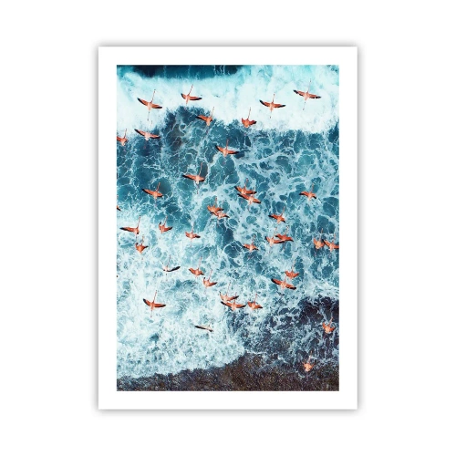 Plagát - Prímorský sprievod - 50x70 cm