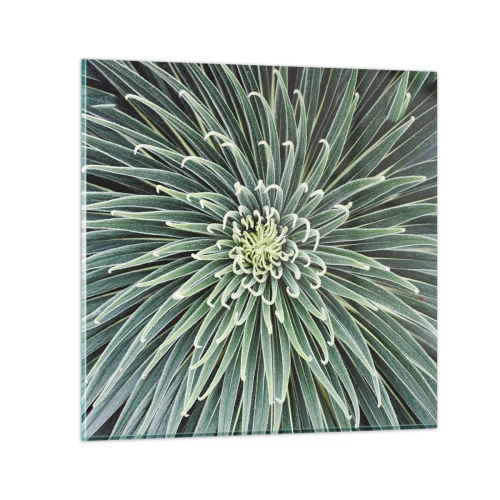 Obraz na skle - Zrodenie hviezdy - 50x50 cm