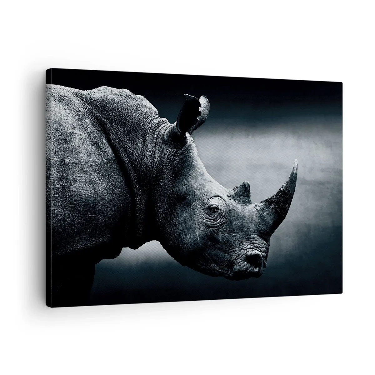Obraz na plátne - Čiernobiely portrét nosorožca na tmavom pozadí - 70x50cm - Pravý profil - Moderná nástenná dekorácia do obývacej izby a spálne ARTTOR