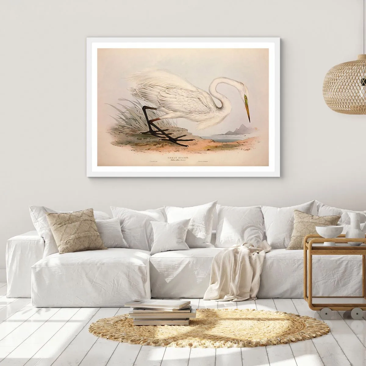 Plagát v bielom ráme - Pani rákosín - 70x50 cm