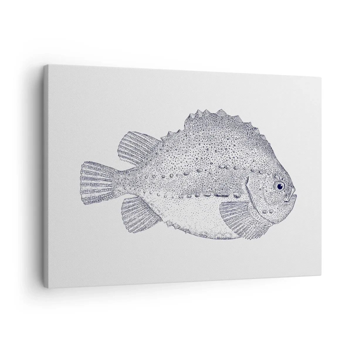 Obraz na plátne - Čiernobiela kresba ryby na bielom pozadí v minimalistickom štýle - 70x50cm - Do albumu prírodovedca - Moderná nástenná dekorácia do obývacej izby a spálne ARTTOR