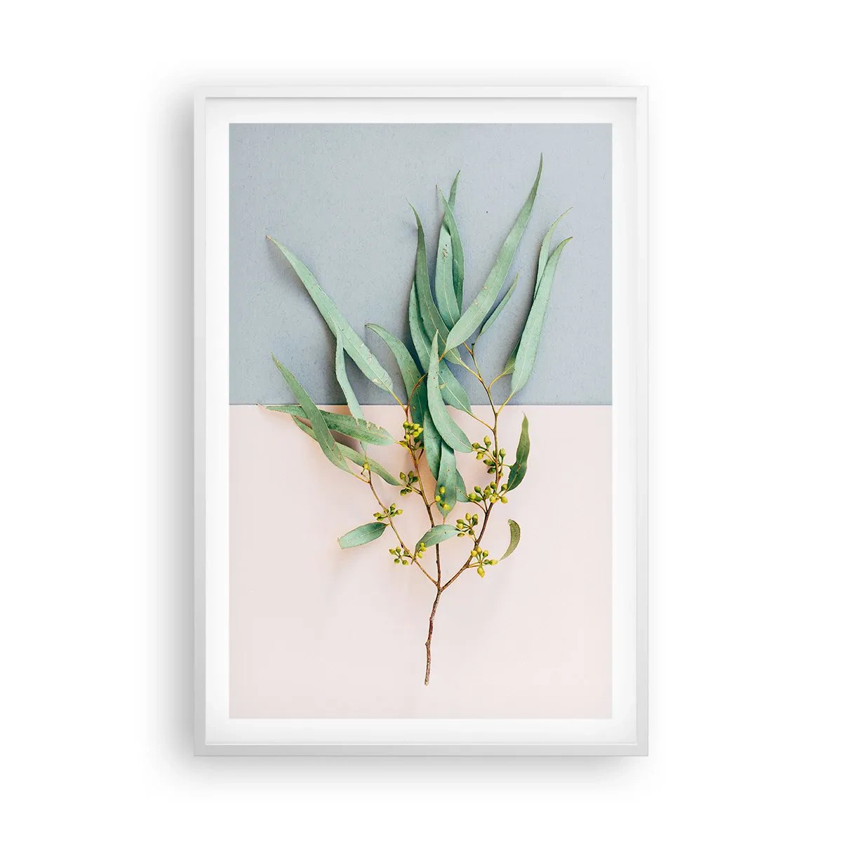 Plagát v bielom ráme - Pastelová jemnosť - 61x91 cm