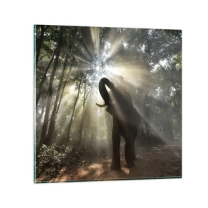 Obraz na skle - Pod šťastnou hviezdou - 50x50 cm