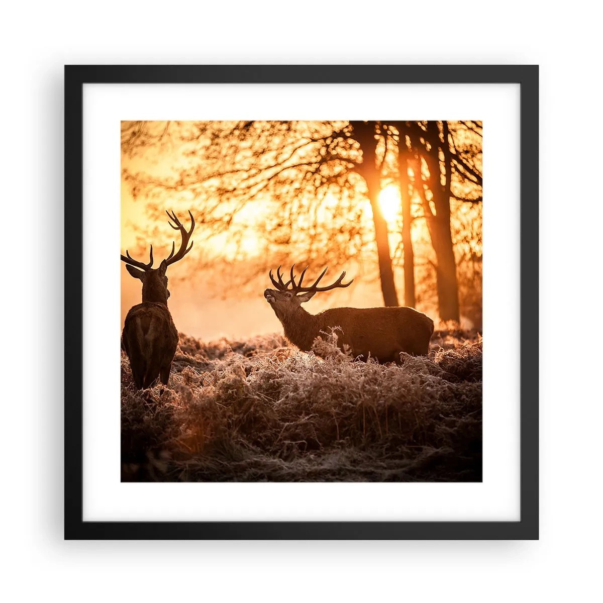 Plagát v čiernom ráme - Sen poľovníka - 40x40 cm