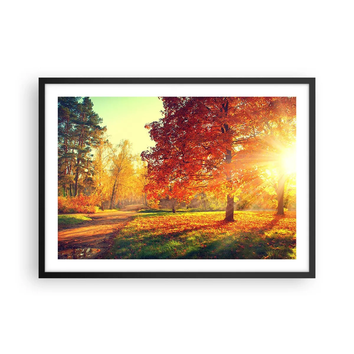 Plagát v čiernom ráme - Červené je krásne - 70x50 cm