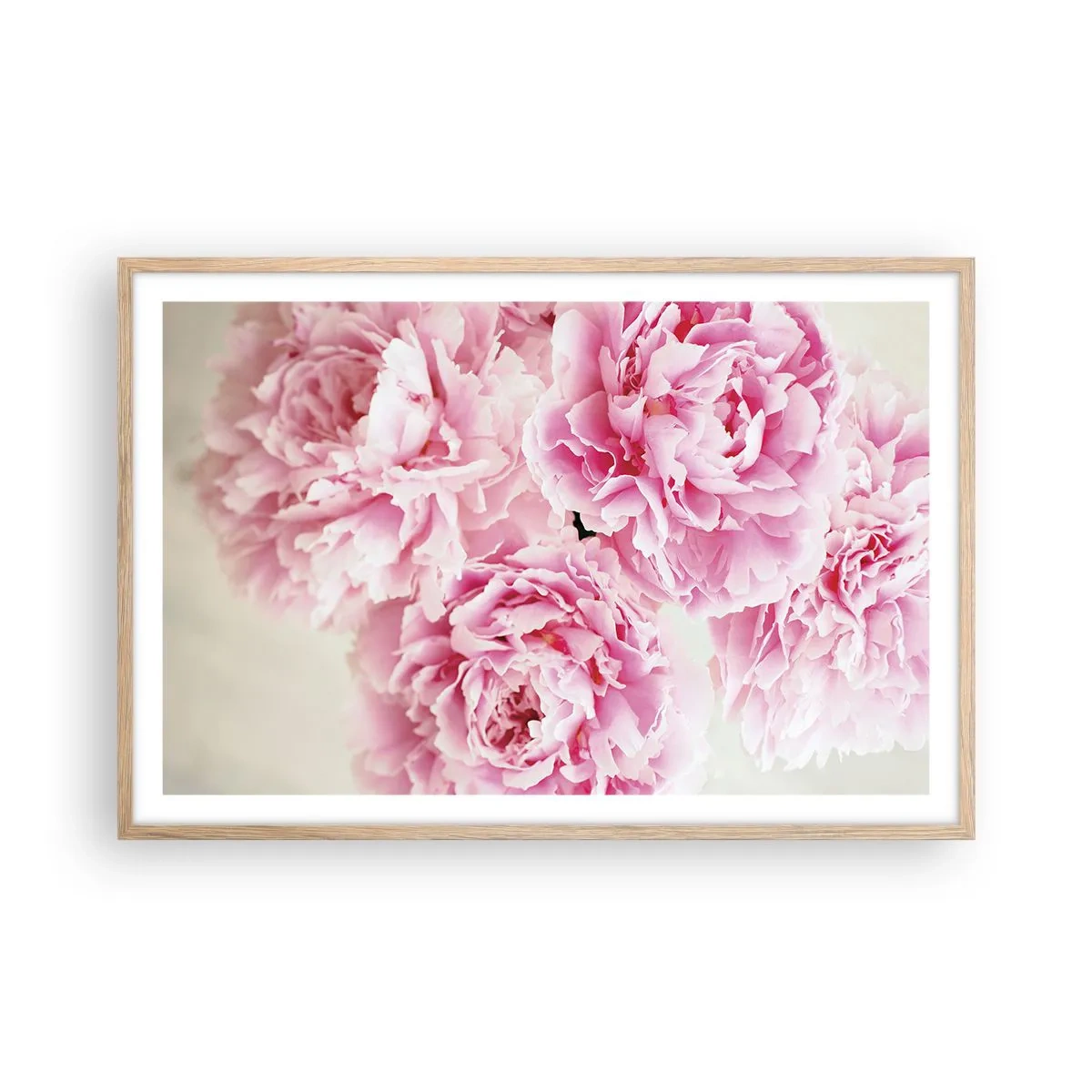 Plagát v ráme zo svetlého duba - V ružovom prepychu - 91x61 cm