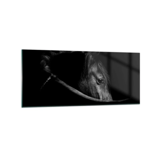 Obraz na skle - Čierny knieža - 120x50 cm
