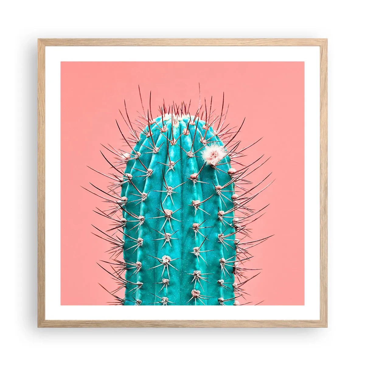 Plagát v ráme zo svetlého duba - Len pozeraj - 60x60 cm