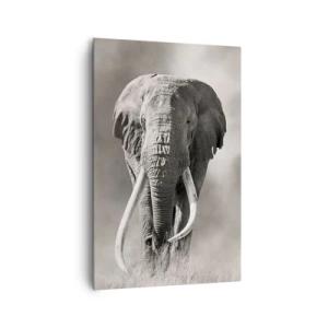 Obraz na plátne - Africký patriarcha - 80x120 cm