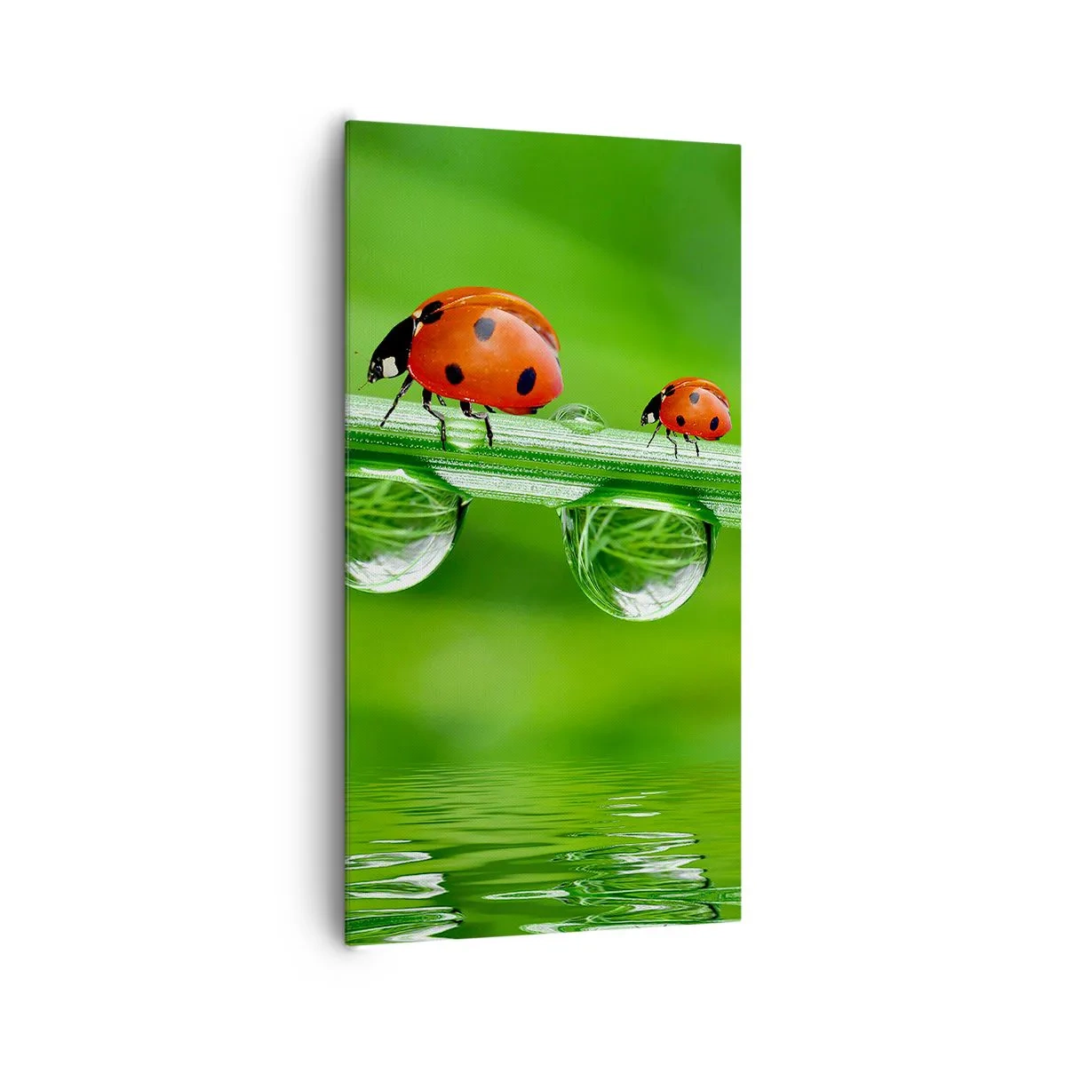 Obraz na plátne - Na cestách celé leto - 65x120 cm