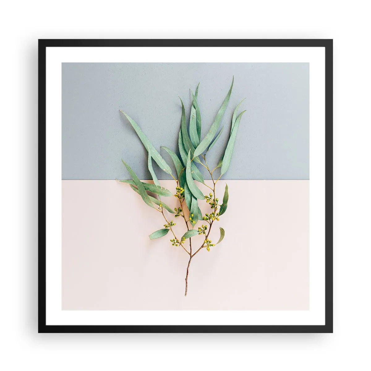 Plagát v čiernom ráme - Pastelová jemnosť - 60x60 cm