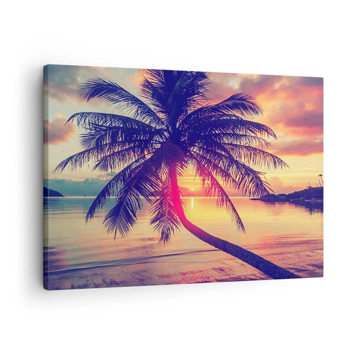 Obraz na plátne - Západ slnka s palmou nad tichým pobrežím - 70x50cm - Večer pod palmami - Moderná nástenná dekorácia do obývacej izby a spálne ARTTOR