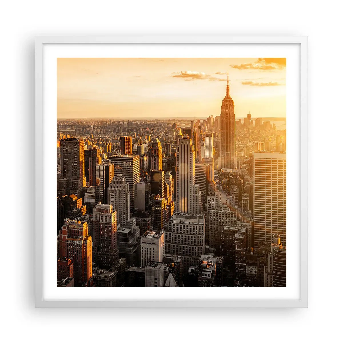 Plagát v bielom ráme - Rast na slnku - 60x60 cm