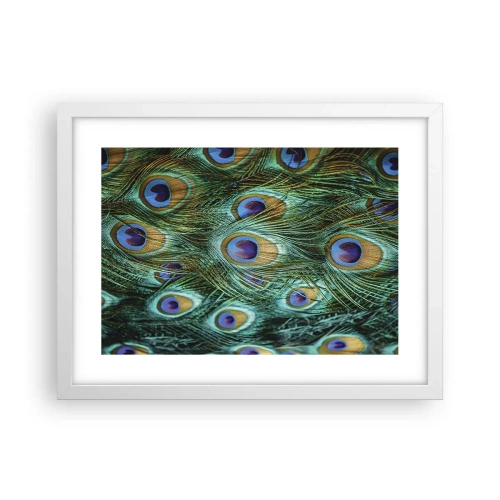 Plagát v bielom ráme - Páví pohľad - 40x30 cm