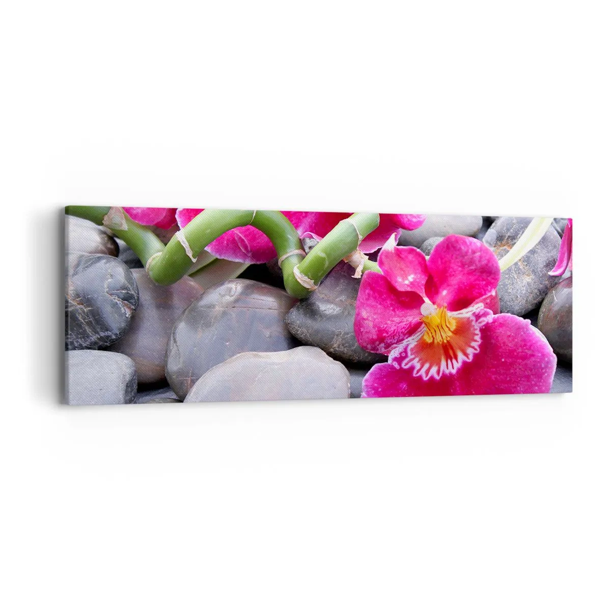 Obraz na plátne - Chlad a žiara - 90x30 cm