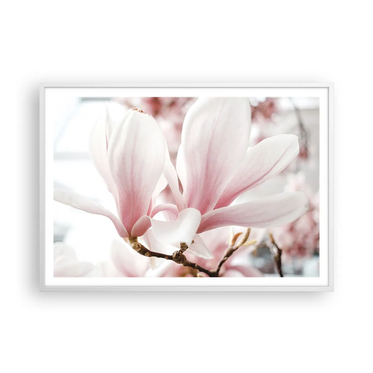 Plagát v bielom ráme - Nesmiernosť nežnosti - 100x70 cm