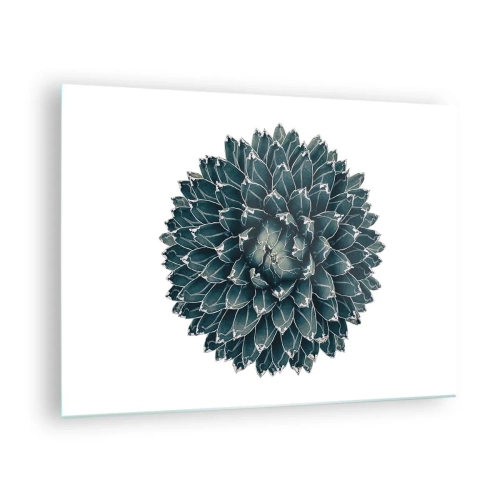 Obraz na skle - Symetrický vzor sukulentnej rastliny na bielom pozadí - 70x50cm - Hviezda púšte - Moderná nástenná dekorácia do obývacej izby a spálne ARTTOR