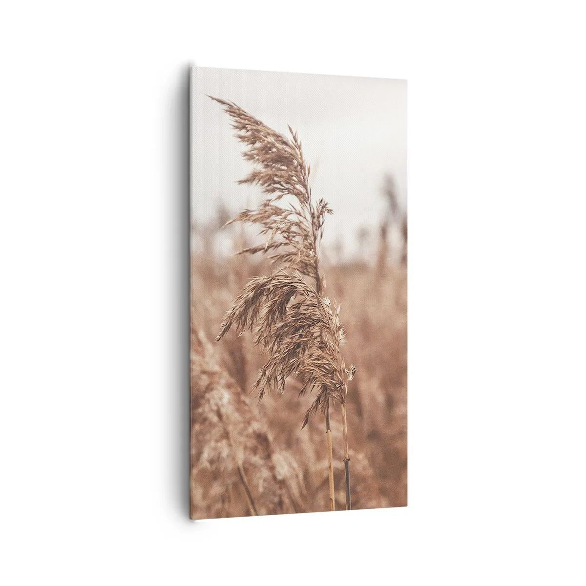 Obraz na plátne - Na poliach už je jeseň - 65x120 cm