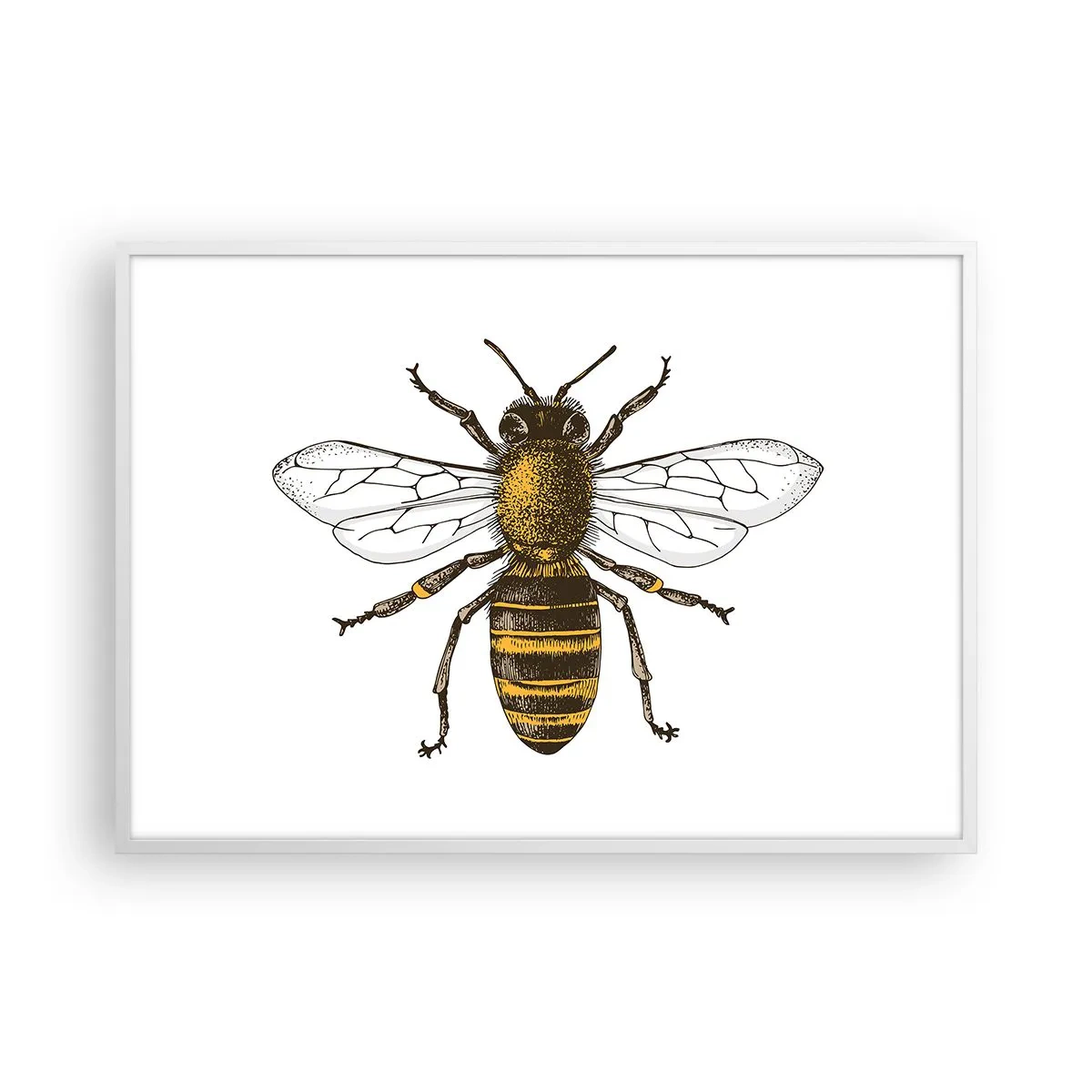 Plagát v bielom ráme - Krásna a dobrá - 100x70 cm