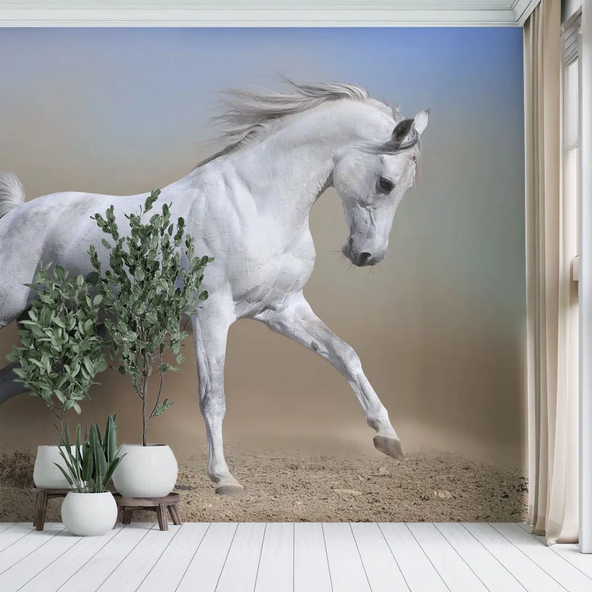 Fototapeta Premium Sand - Najkrajšia arabská rozprávka - Kôň, Zvieratá, Cval - 400x280 cm