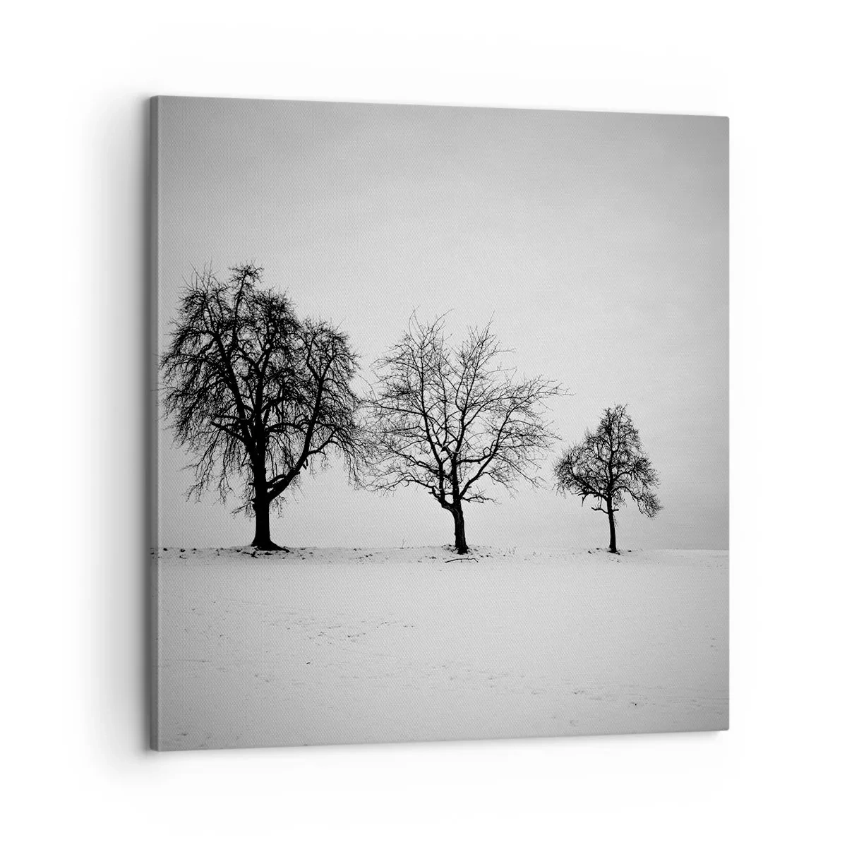 Obraz na plátne - O čom sníva? - 60x60 cm