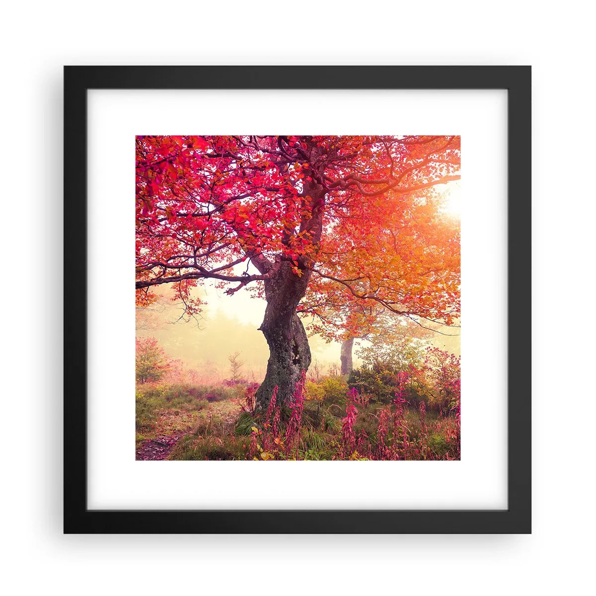 Plagát v čiernom ráme - Šialenstvo rozkvetu - 30x30 cm