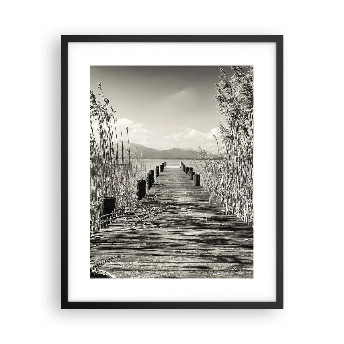 Plagát v čiernom ráme - V ústraní tráv - 40x50 cm