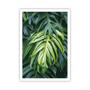 Plagát - Ponoriť sa do sviežosti - 70x100 cm