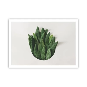 Plagát - Neukojiteľná zvedavosť - 100x70 cm