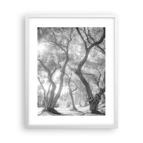 Plagát v bielom ráme - V olivovom háji - 40x50 cm