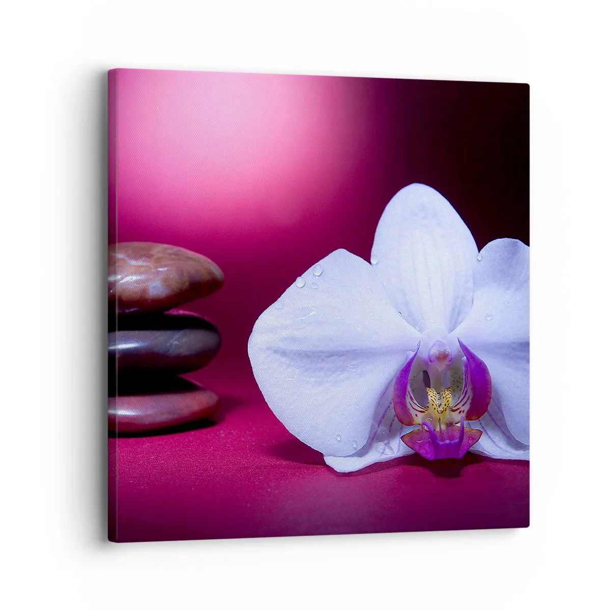 Obraz na plátne - Štúdia sviežosti vo fialovej - 30x30 cm