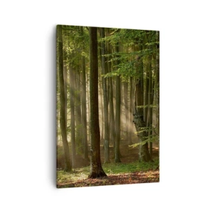 Obraz na plátne - Rozžiarený v jarnom ráne - 50x70 cm
