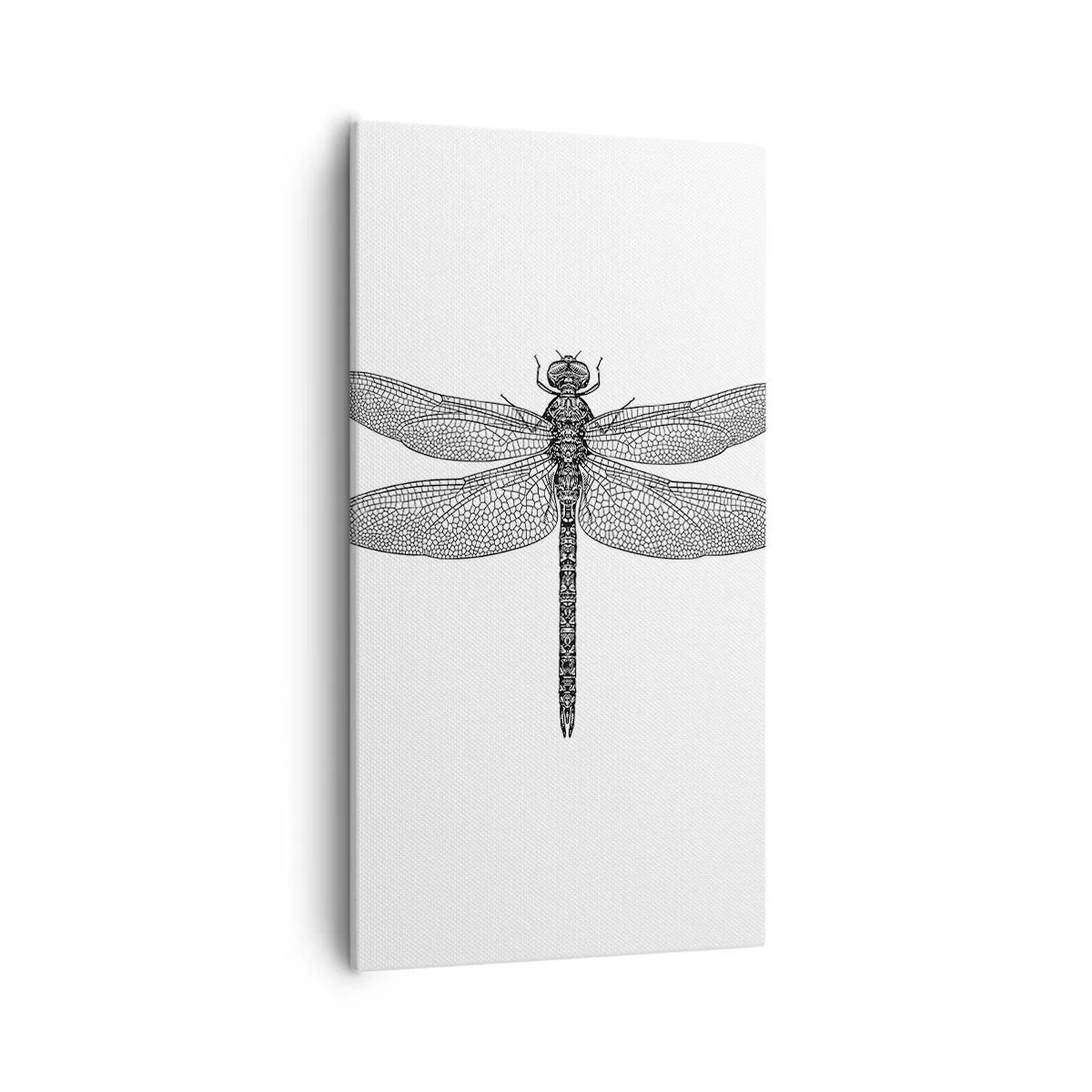 Obraz na plátne - Presnosť prírody - 55x100 cm