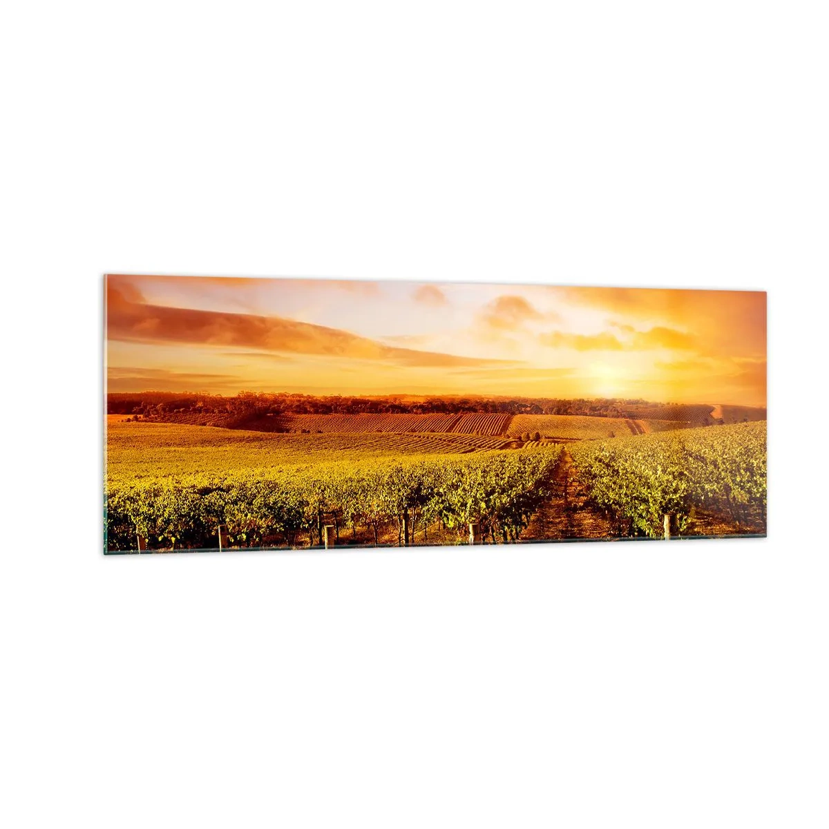 Obraz na skle - Jemne ovocné s nádychom slnka - 140x50 cm
