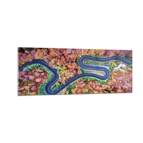 Obraz na skle - Kľukatá cesta lesom - 140x50 cm