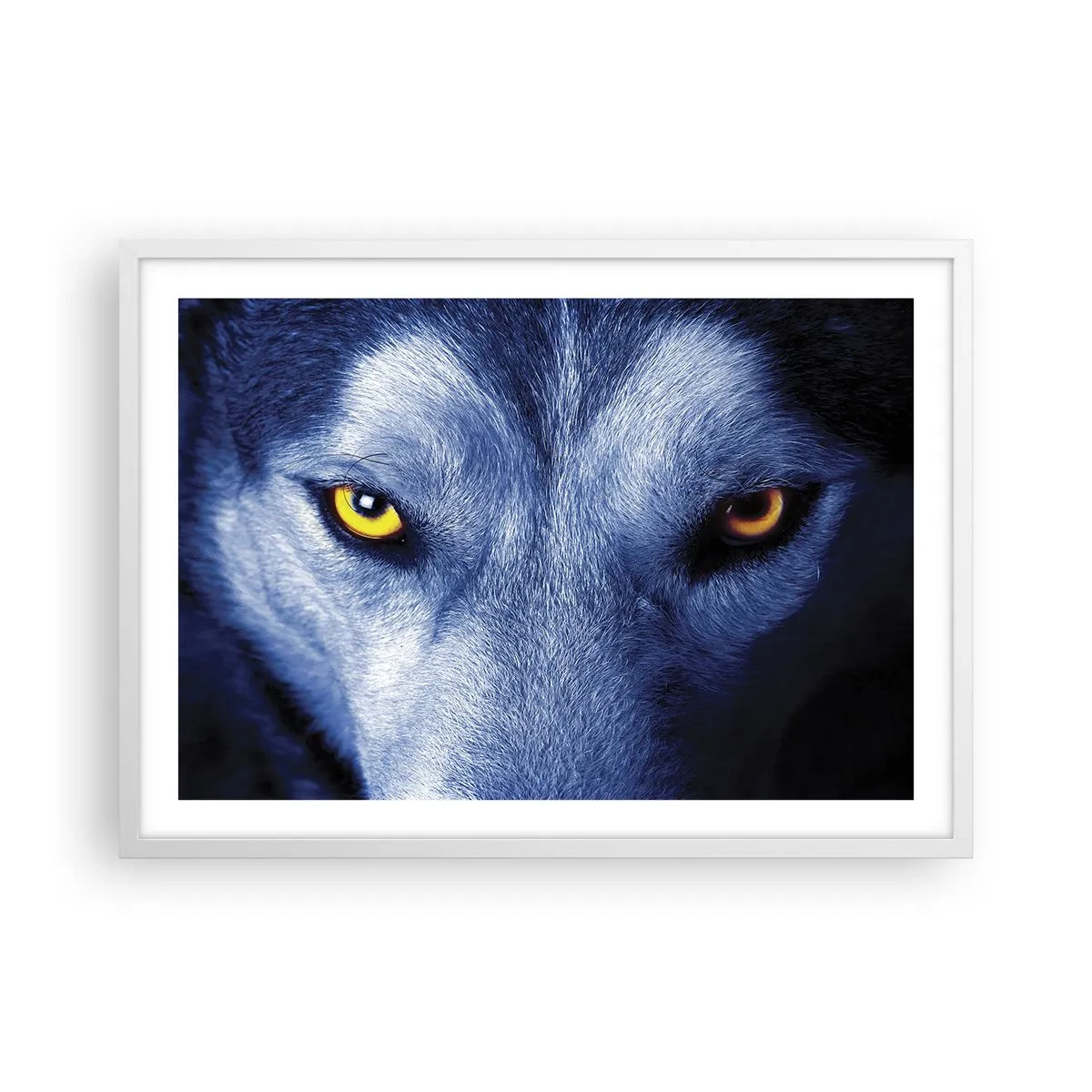 Plagát v bielom ráme - Fascinujúci pohľad - 70x50 cm