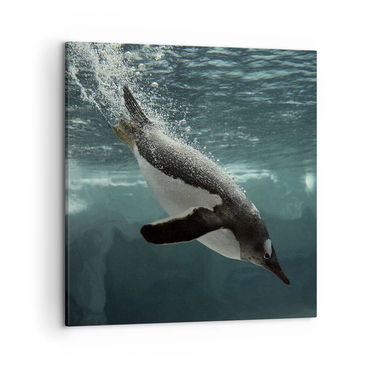 Obraz na plátne - Vitajte v mojom svete - 50x50 cm