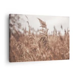 Obraz na plátne - Zlaté trávy na pozadí jesennej scenérie - 70x50cm - Na poliach už je jeseň - Moderná nástenná dekorácia do obývacej izby a spálne ARTTOR