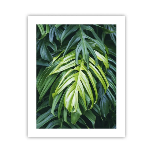 Plagát - Ponoriť sa do sviežosti - 40x50 cm