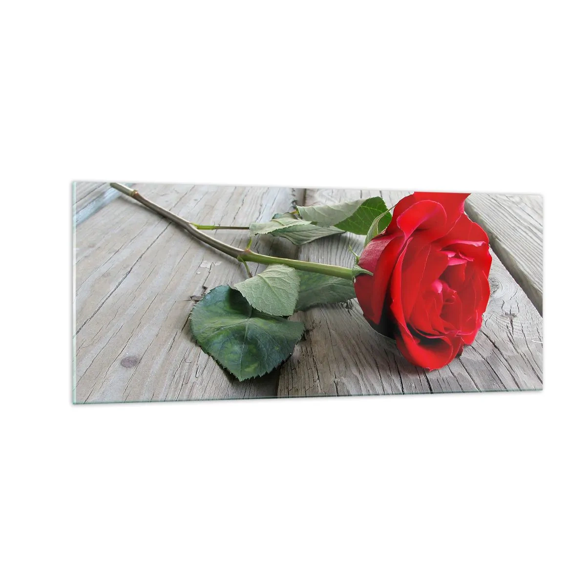 Obraz na skle - Štúdia v šarlátovej - 100x40 cm