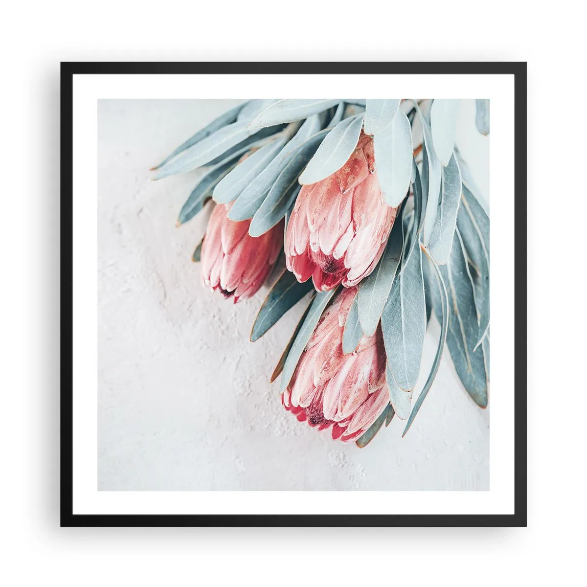 Plagát v čiernom ráme - Zahanbené svojou vlastnou krásou - 60x60 cm