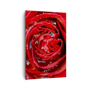 Obraz na plátne - V kvapkách rosy - 80x120 cm