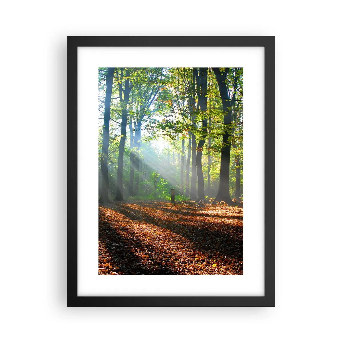 Plagát v čiernom ráme - Svetlá a tiene - 30x40 cm