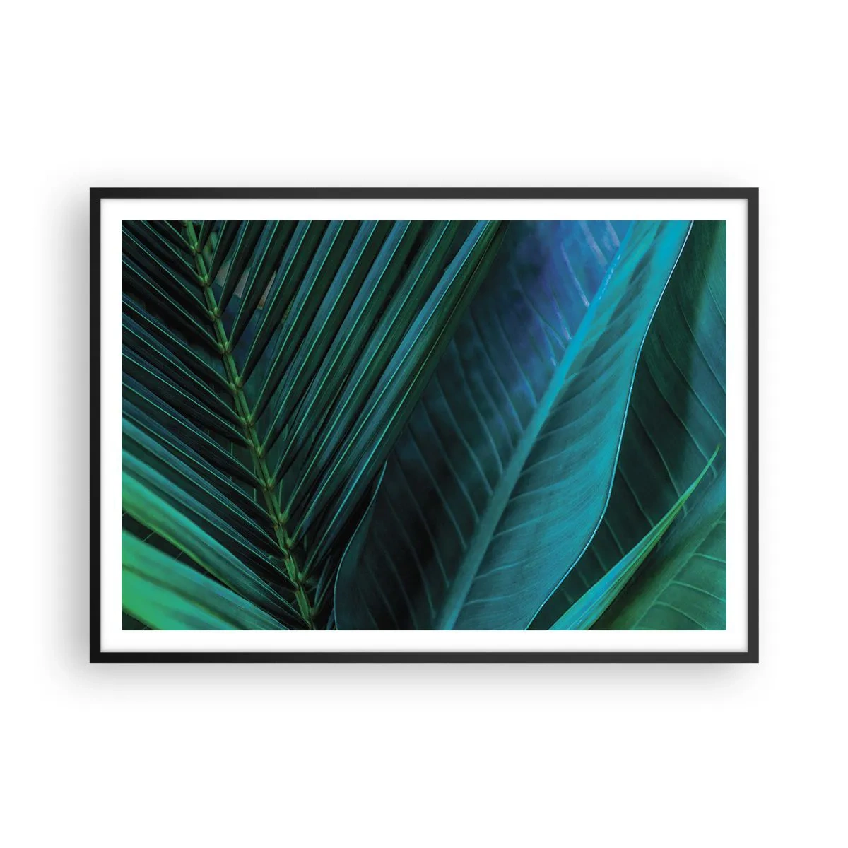 Plagát v čiernom ráme - Anatómia zelene - 100x70 cm