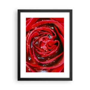 Plagát v čiernom ráme - V kvapkách rosy - 30x40 cm