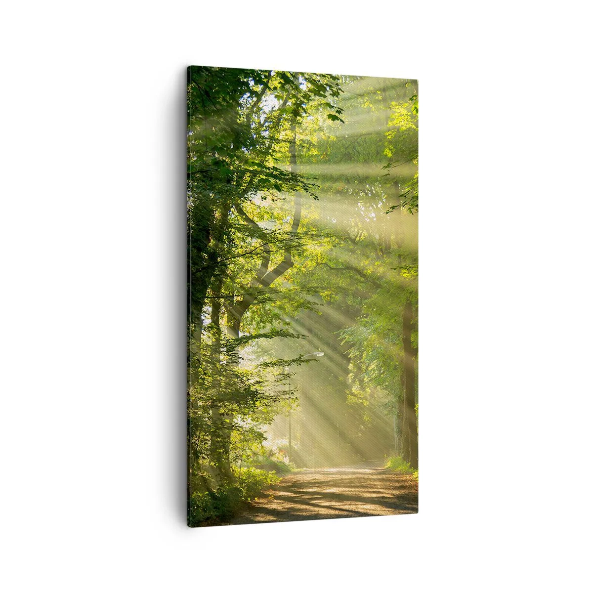 Obraz na plátne - Lesný okamih - 45x80 cm